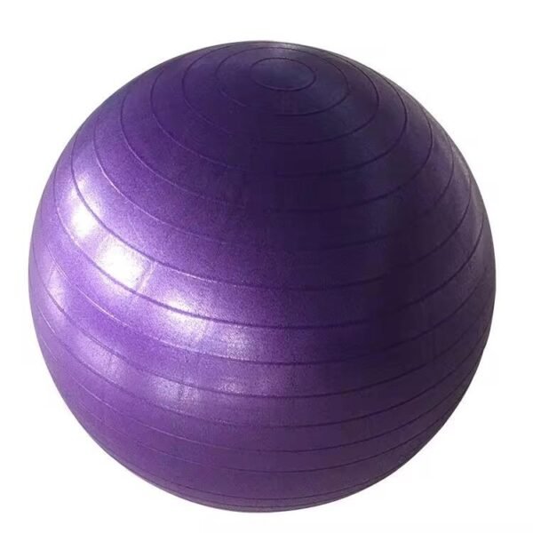 Swiss/Yoga Ball - Image 8