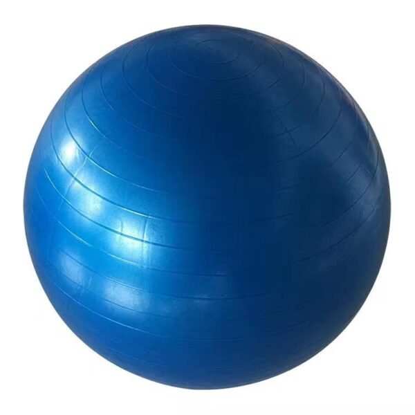 Swiss/Yoga Ball - Image 7