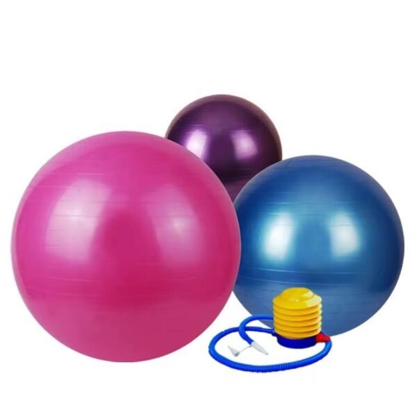 Swiss/Yoga Ball