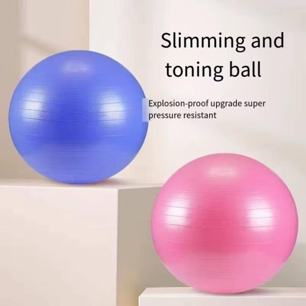 Swiss/Yoga Ball - Image 2